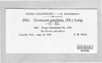 Image Associated With the Occurence
